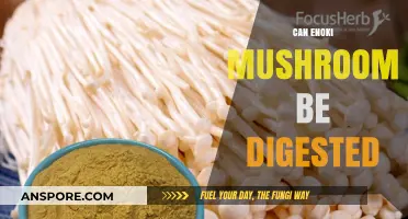 Can Enoki Mushrooms Be Digested? Unraveling the Truth