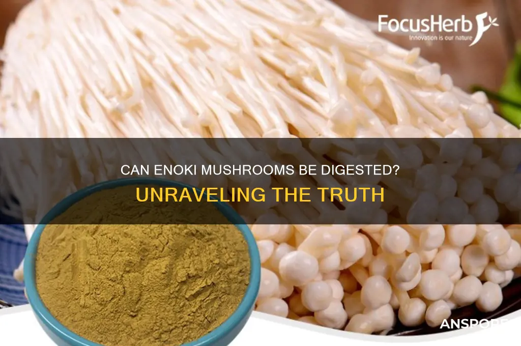 can enoki mushroom be digested