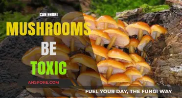 Are Enoki Mushrooms Safe? Uncovering Potential Toxicity Risks