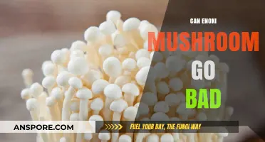 Do Enoki Mushrooms Spoil? Shelf Life and Storage Tips