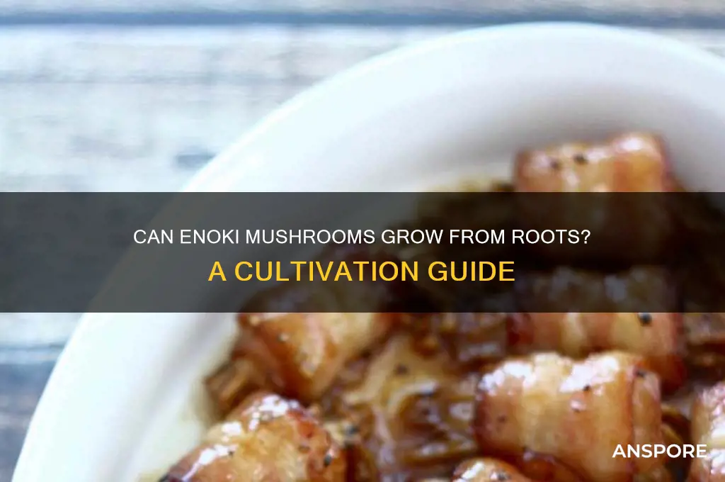 can enoki mushrooms grow from roots