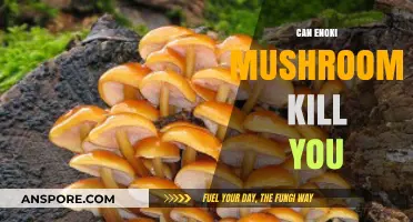 Are Enoki Mushrooms Deadly? Uncovering the Truth About Their Safety