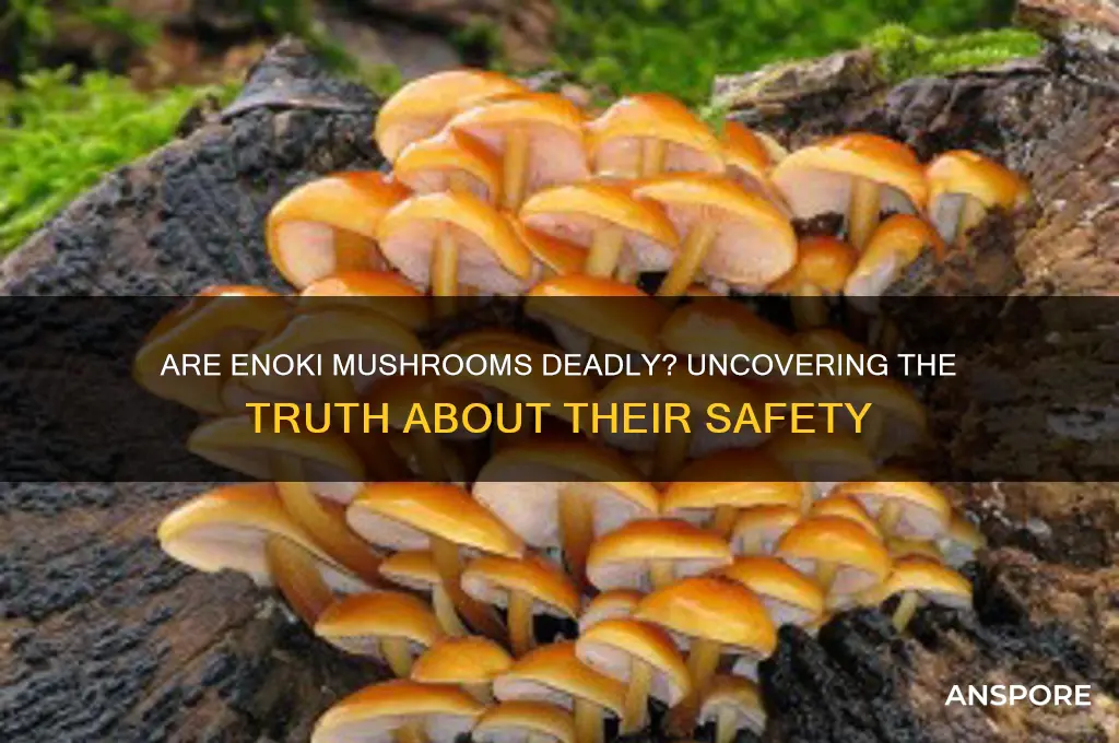 can enoki mushrooms kill you