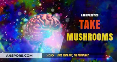 Epilepsy and Psilocybin: Exploring the Risks of Magic Mushrooms