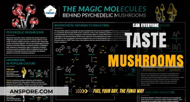 Can Everyone Taste Mushrooms? Exploring the Science of Flavor Perception