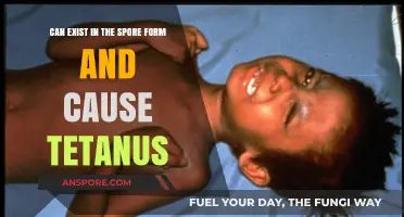 Tetanus: How Clostridium tetani's Spore Form Causes Deadly Infections