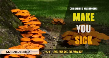 Expired Mushrooms: Risks, Symptoms, and Safe Consumption Tips