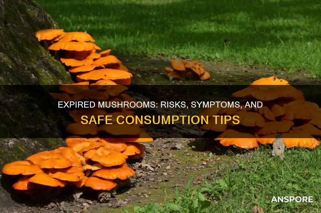 can expired mushrooms make you sick