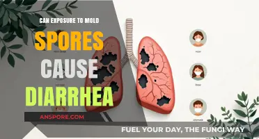Mold Spores and Diarrhea: Uncovering the Surprising Health Connection