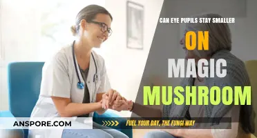 Magic Mushrooms and Pupil Size: Understanding the Psychedelic Connection