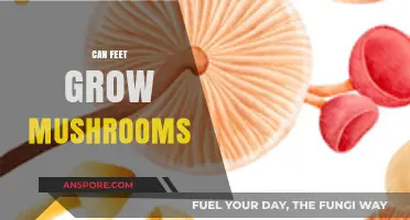 Can Feet Grow Mushrooms? Unraveling the Myth and Reality