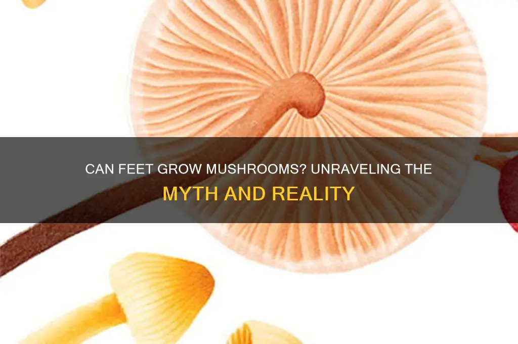 can feet grow mushrooms