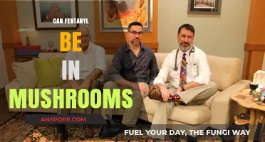 Fentanyl in Mushrooms: Unraveling the Truth Behind the Myth