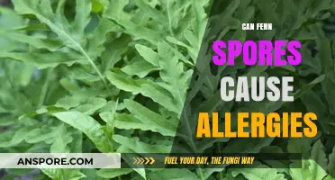 Can Fern Spores Trigger Allergies? Uncovering the Hidden Culprit