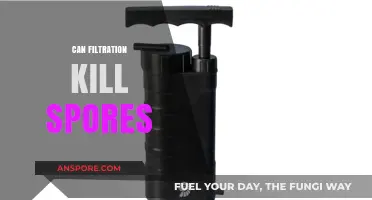 Can Filtration Effectively Eliminate Spores? Exploring Methods and Limitations