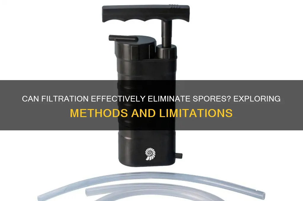 can filtration kill spores