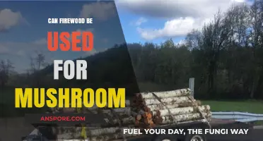 Using Firewood for Mushroom Cultivation: Benefits, Risks, and Best Practices