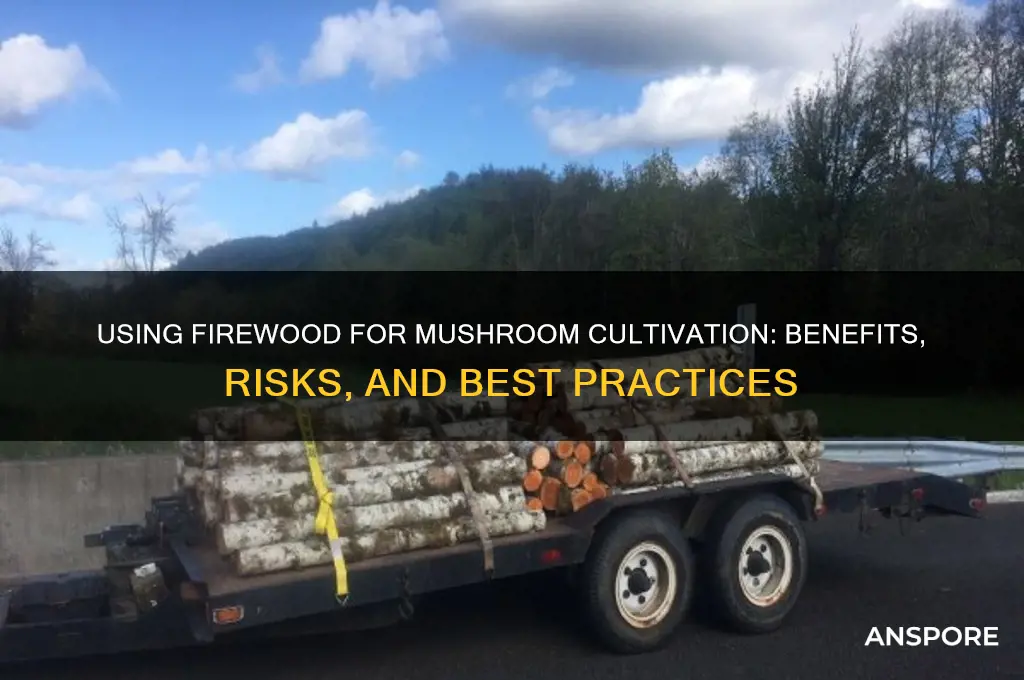 can firewood be used for mushroom
