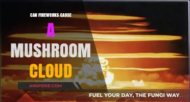 Explosive Truth: Can Fireworks Create Mushroom Clouds Like Nuclear Blasts?