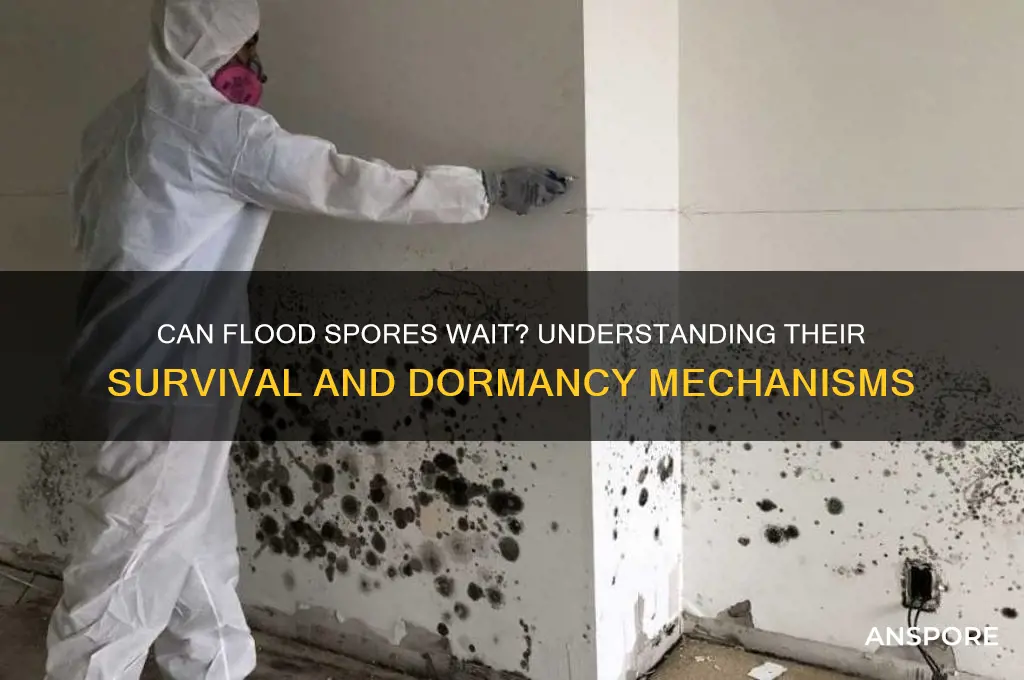 can flood spores wait