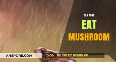 Can Frogs Safely Eat Mushrooms? A Comprehensive Guide for Pet Owners