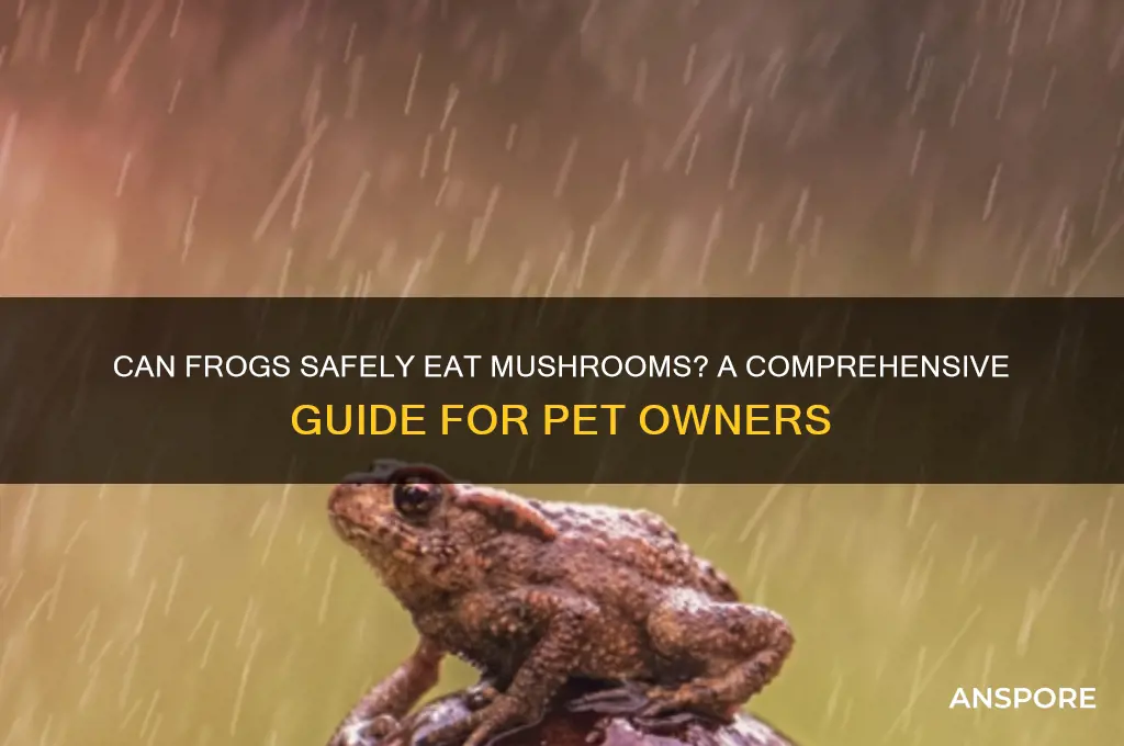 can fogs eat mushroom