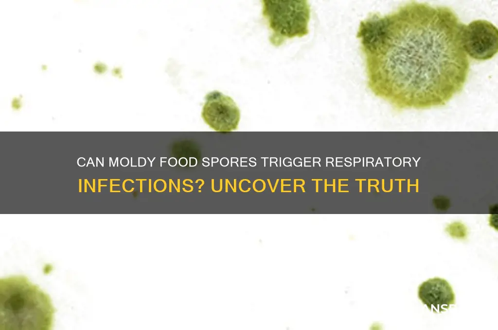 can food mold spores cause respiratory infection