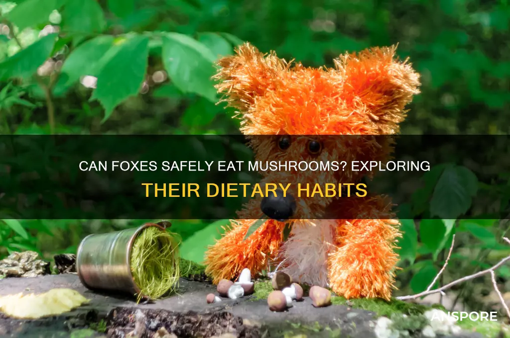 can foxes eat mushrooms