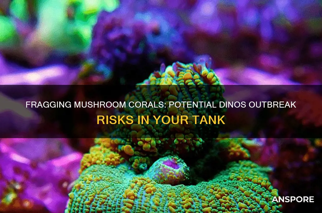 can fragging a mushroom coral in tank cause dinos