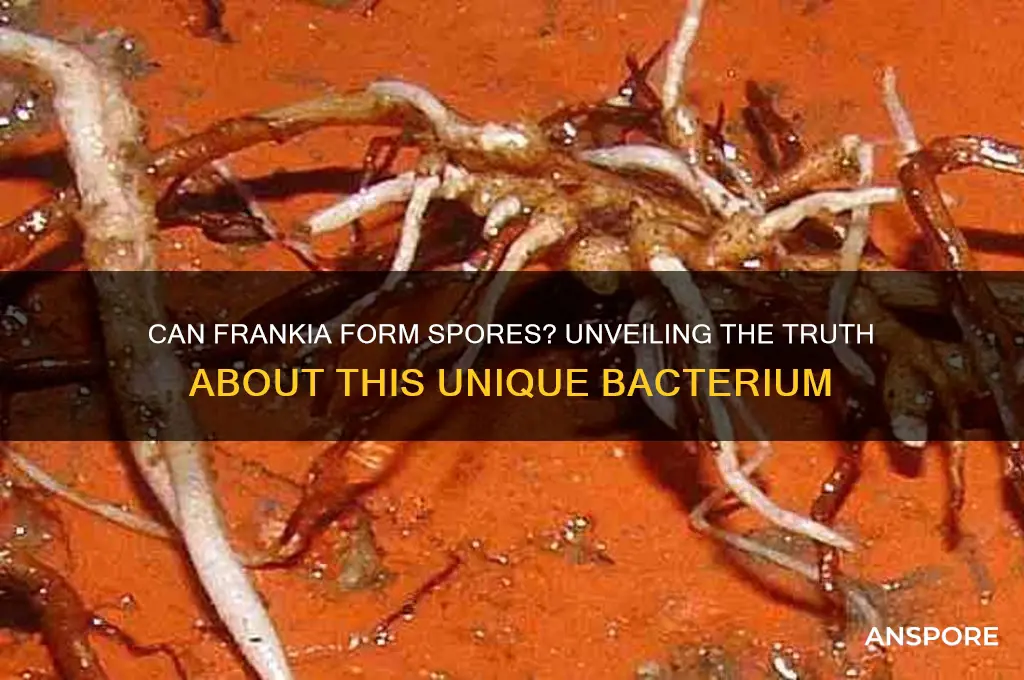 can frankia form spores