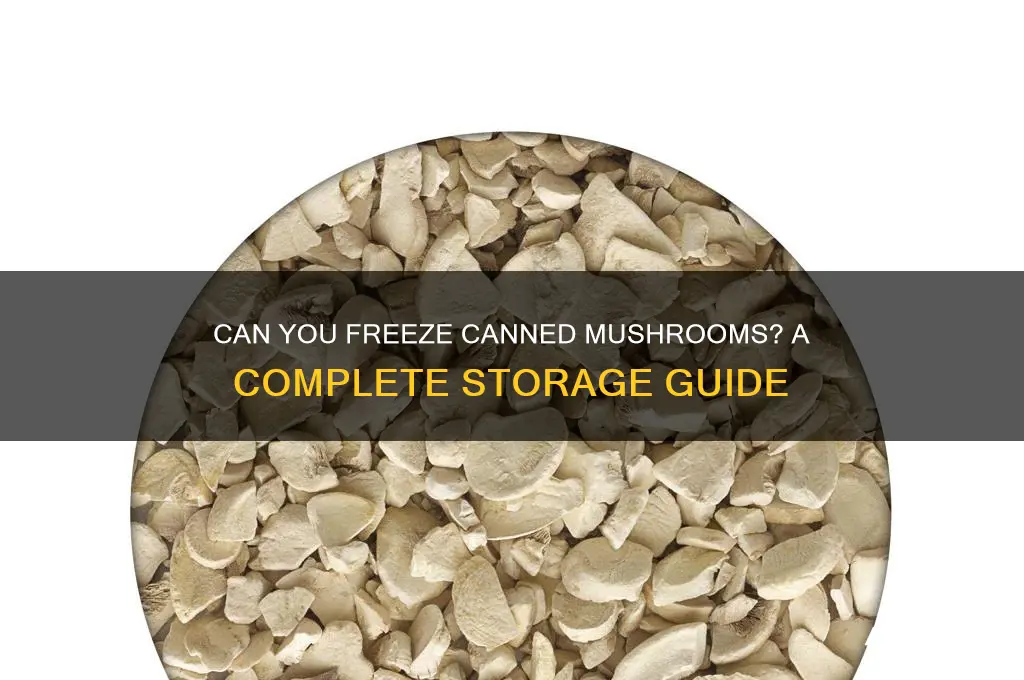 can freeze canned mushrooms