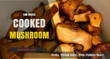 Can You Freeze Cooked Mushrooms? A Complete Storage Guide