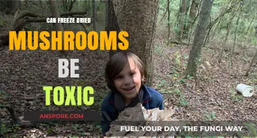 Are Freeze-Dried Mushrooms Safe? Uncovering Potential Toxicity Risks