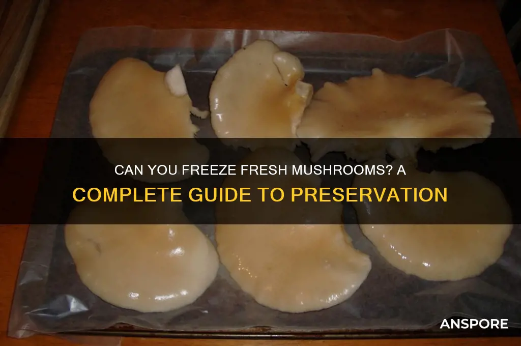 can freeze fresh mushroom