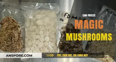 Can You Freeze Magic Mushrooms? Preservation Tips and Effects Explained