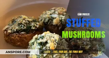 Can You Freeze Stuffed Mushrooms? Tips for Perfect Preservation