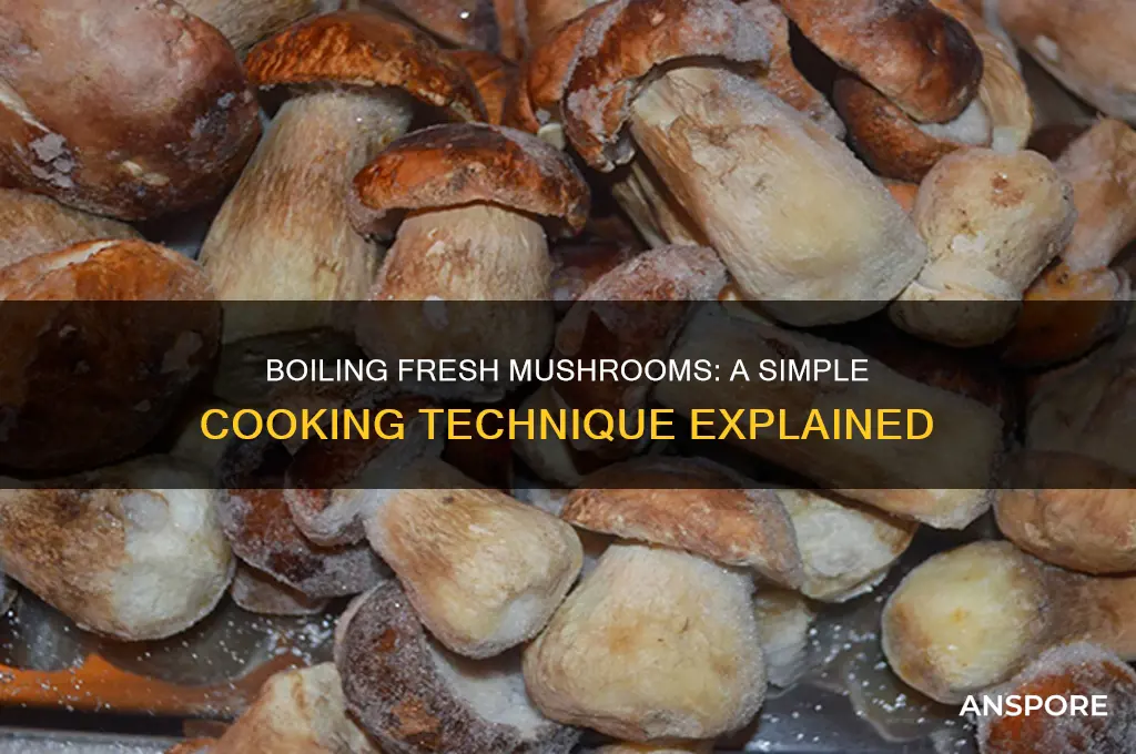can fresh mushrooms be boiled
