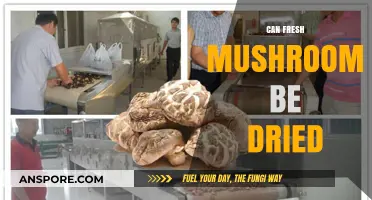 Drying Fresh Mushrooms: A Simple Guide to Preserving Flavor