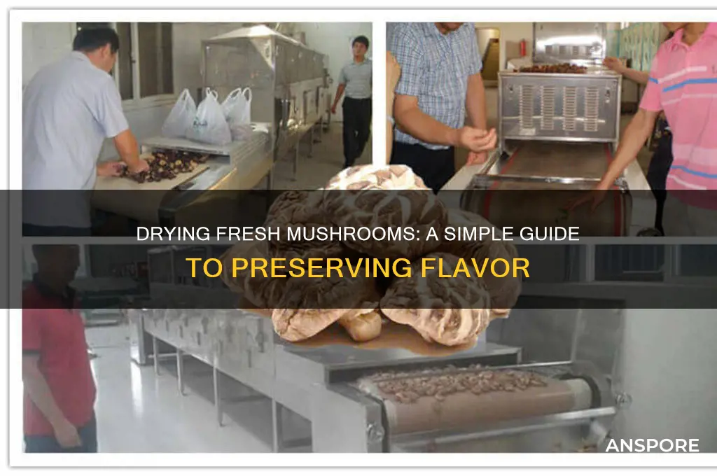 can fresh mushrooms be dried