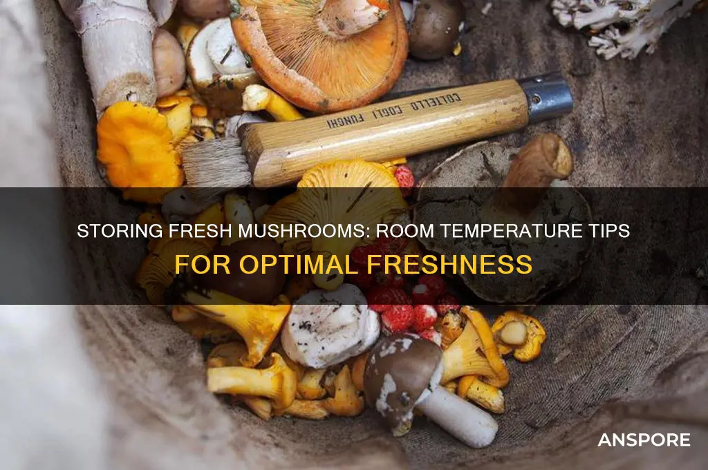 can fresh mushrooms be stored at room temperature