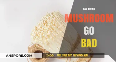 Do Fresh Mushrooms Spoil? Shelf Life and Storage Tips