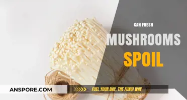Do Fresh Mushrooms Go Bad? Shelf Life and Storage Tips