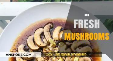 Can Fresh Mushrooms Transform Your Meals? A Tasty Guide
