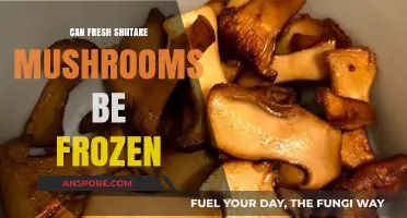 Freezing Fresh Shiitake Mushrooms: A Complete Guide for Preservation