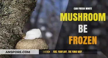 Freezing Fresh White Mushrooms: A Complete Guide to Preservation