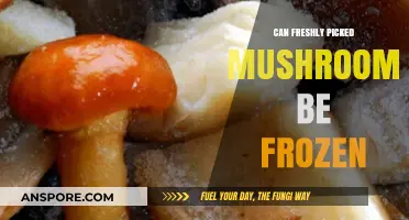 Freezing Freshly Picked Mushrooms: A Guide to Preserving Your Harvest