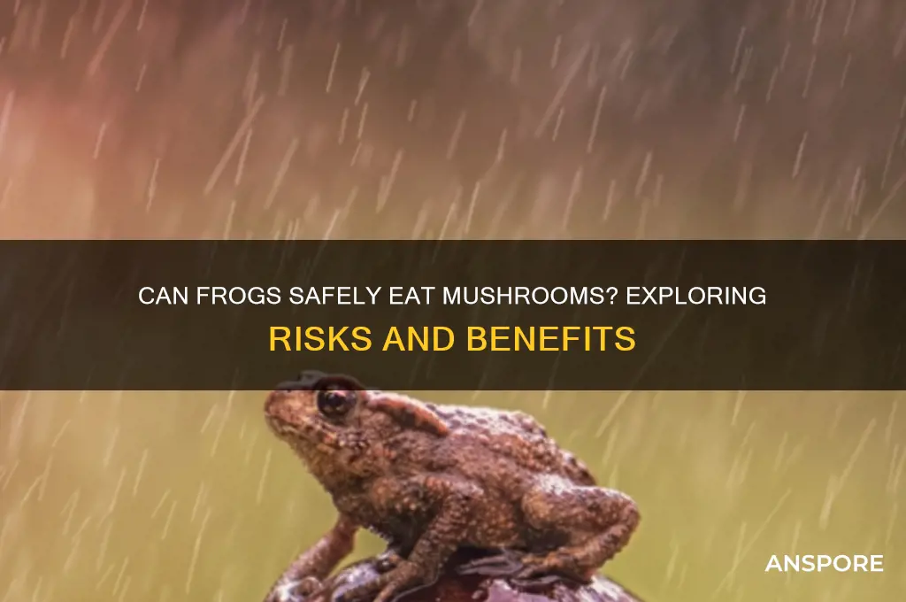can frogs eat mushrooms