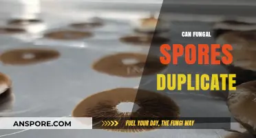 Can Fungal Spores Duplicate? Unveiling the Science Behind Fungal Reproduction