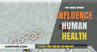 Fungal Spores and Human Health: Unseen Impacts and Potential Risks
