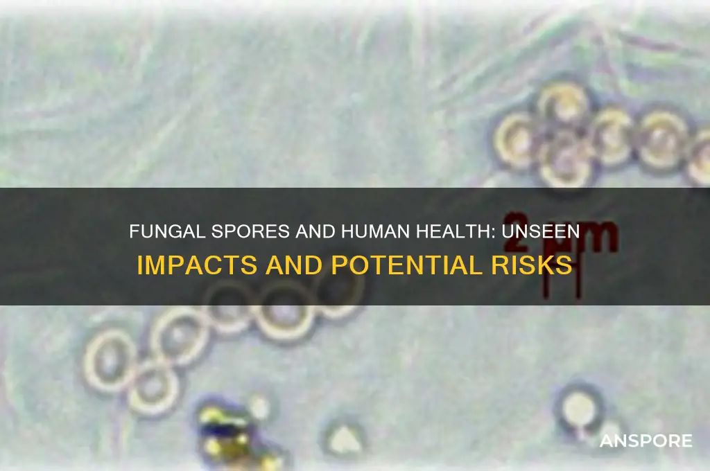 can fungal spores influence human health